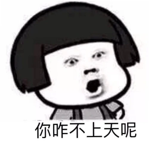 timg.webp