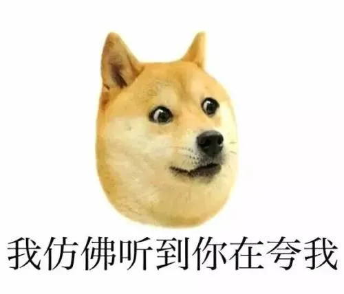 7462312_6.webp