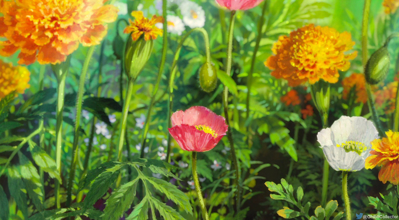 img-2e9a41b62213ffbd2aa992dd13f3bdd3.webp