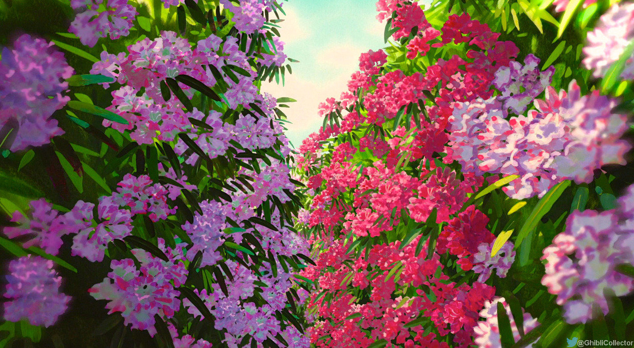 img-e2750f6df2272cb708fed850f748d3d8.webp