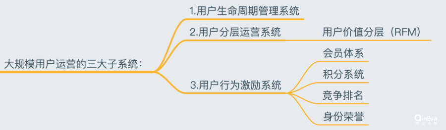 0001e62193df4a258ed6e9892b2fd81c.webp
