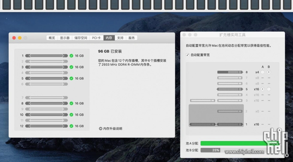 185100lbyhtpdymbmest6s.webp