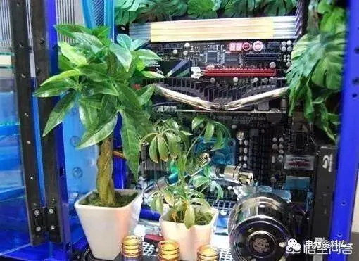 ?url=http%3A%2F%2Fdingyue.ws.126.net%2F2019%2F1212%2F7d046869j00q2einb001cc200e600abg00e600ab.webp