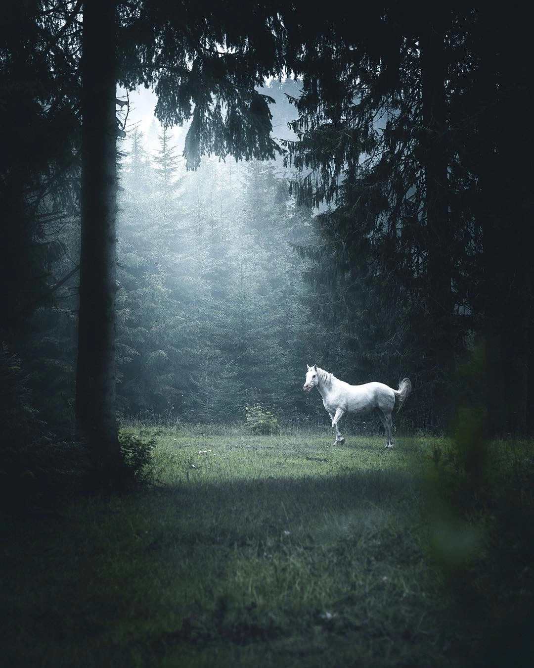 img-1032ba9e842b659b0c4fce76daab8f12.webp