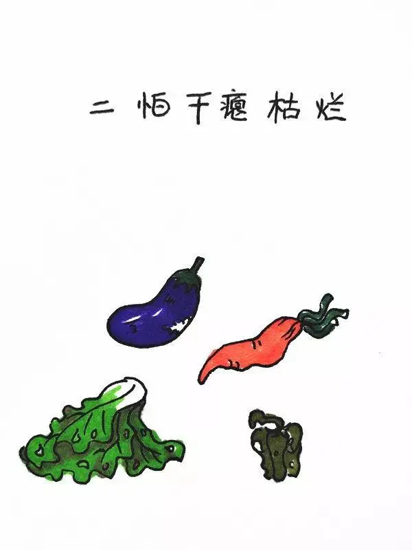 ?url=http%3A%2F%2Fdingyue.ws.126.net%2F2020%2F0214%2F2c1da837j00q5ohaa000tc000go00m8m.webp