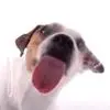111452dsxc0dctfy9ypf75.webp