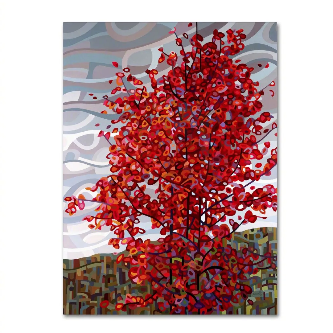 img-af377ee30ce8623545cce5adaa14bc9a.webp
