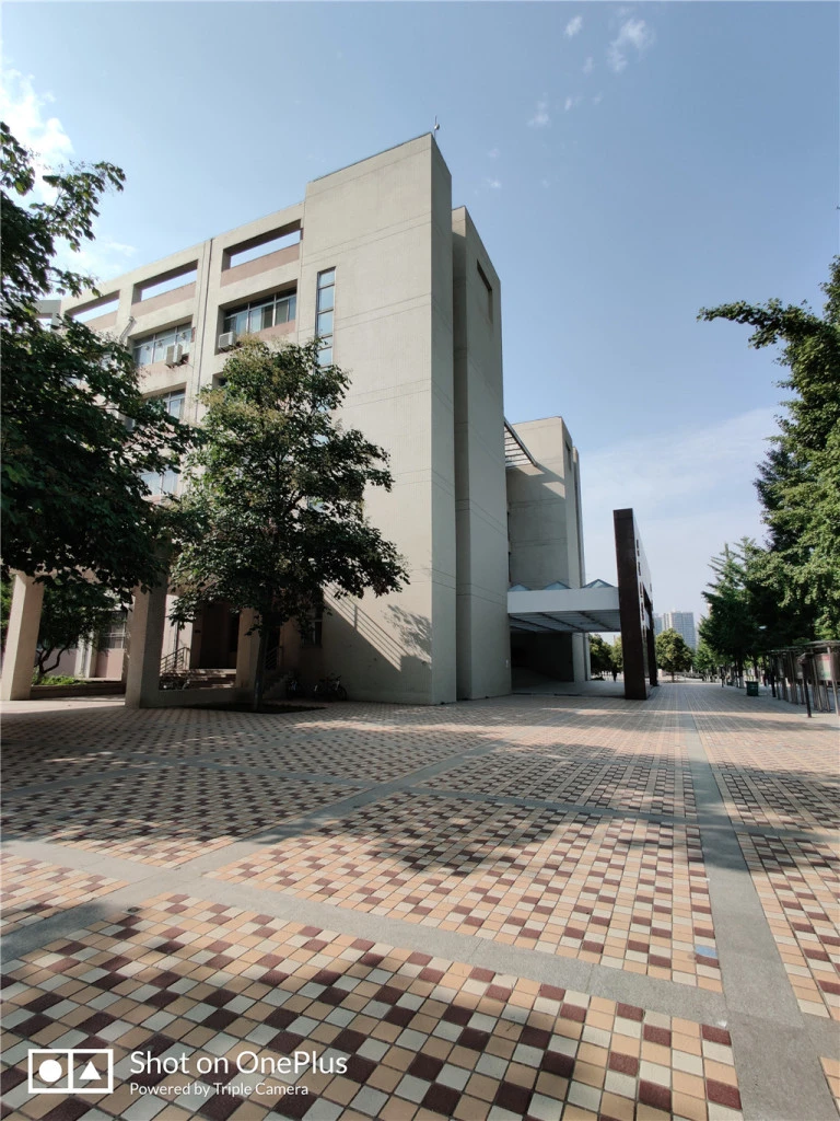 resize,w_768.webp