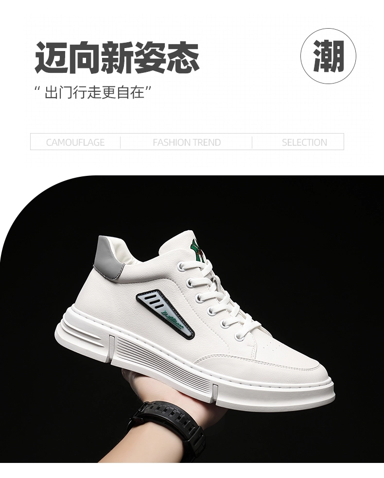 d37a6e3f948a2467.webp