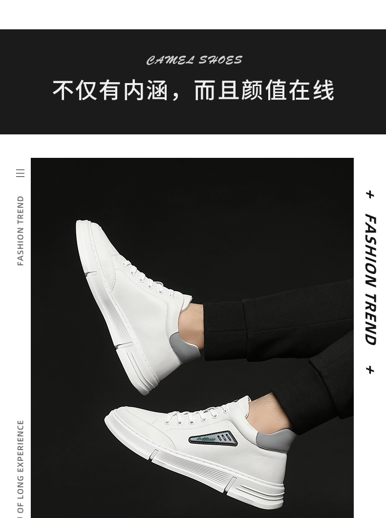4c6fd9e4618c7329.webp