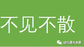 ?url=http%3A%2F%2Fdingyue.ws.126.net%2F2021%2F0430%2F8d8947e4p00qsdtjh0006c0007u004eg.webp