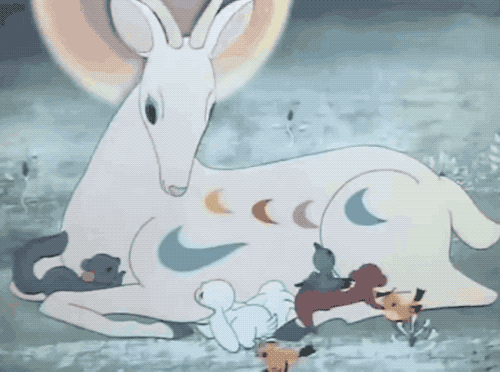 2fa7b91cg00qsz4i701tgd200dw00acg00it00dz.gif