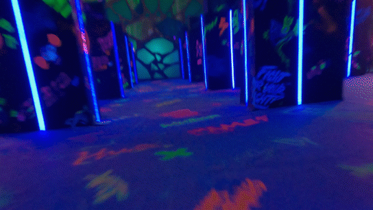 0065WLNEly1gw6x7yof8zg30f408inh6.gif