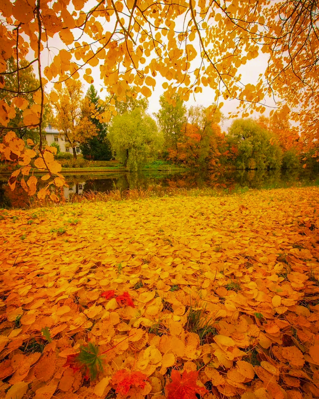 IMG_20220225_081514.webp