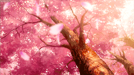 img-1646141331959006qB4OBgy1gzup8x1aiug30c806vb29.gif