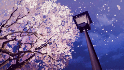 img-1646141352089006qB4OBgy1gzup8vr32jg30b406ann4.gif