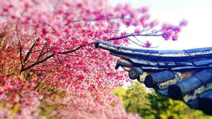 img-165055234979143c8c9a2df0177f6eec69930487e16f17c2683928847db896ea3883569abad41.webp