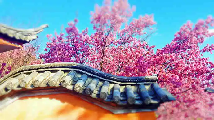 img-1650552354951872f8d687dca0ab9b6ed687d0ab437fc0ee86fdaf51e9aa33fd9ba540064b93f.webp
