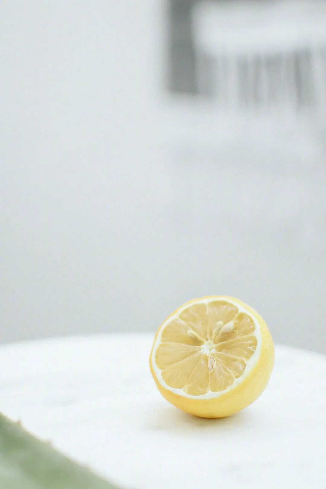 img-1654039932125c91ca4d1f44329c40e055c1e26dcee0c71549ea0d69afff4d26cae04388c08ca.webp