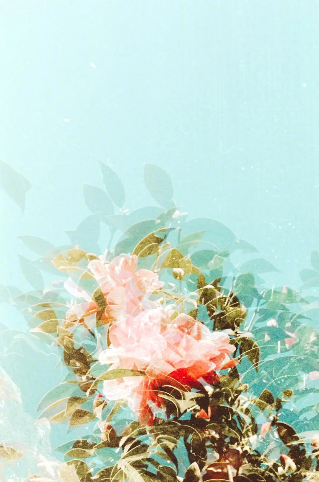 img-16540399425494a67b74ead420d7baddac4b002e45663d691ab88d32625f34762dcc6de3fcb16.webp