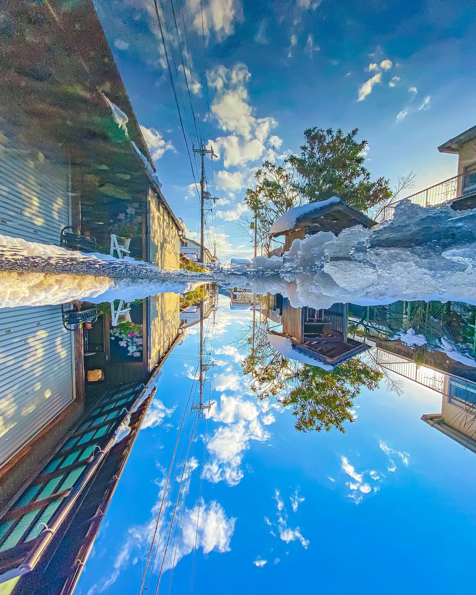 0060npoKgy1h23ndcyntsj319h1kvkgh.webp