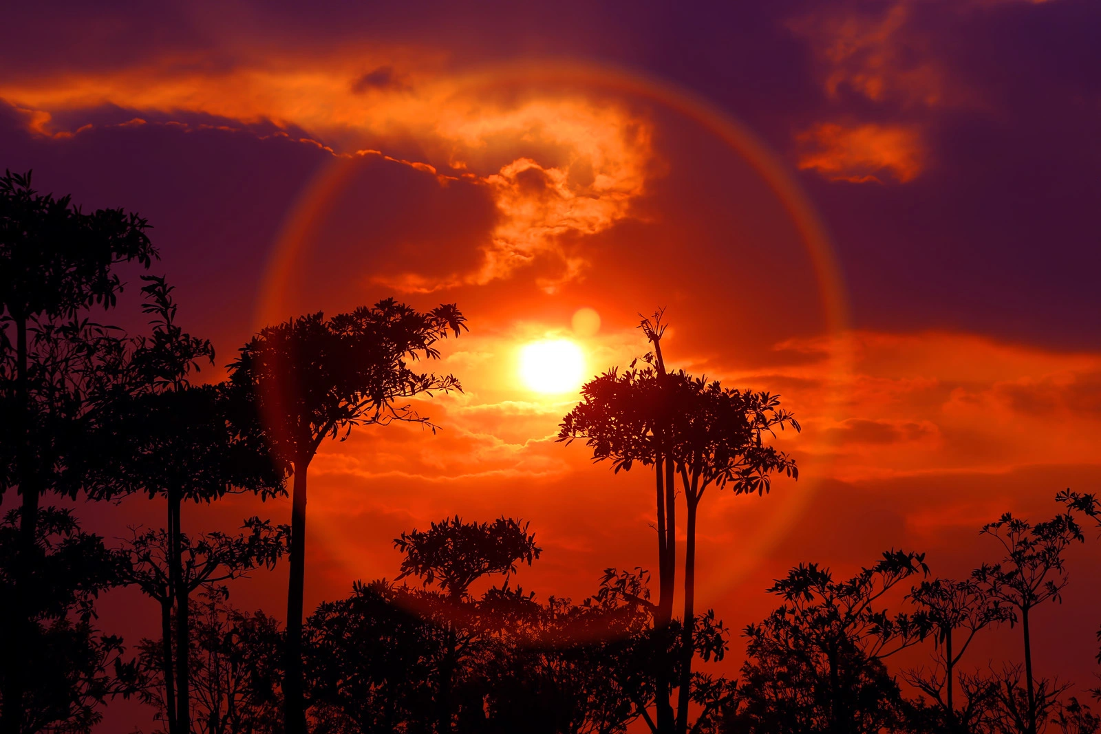 a7295e45gy1gfogs2kx7dj218g0tnk4b.webp