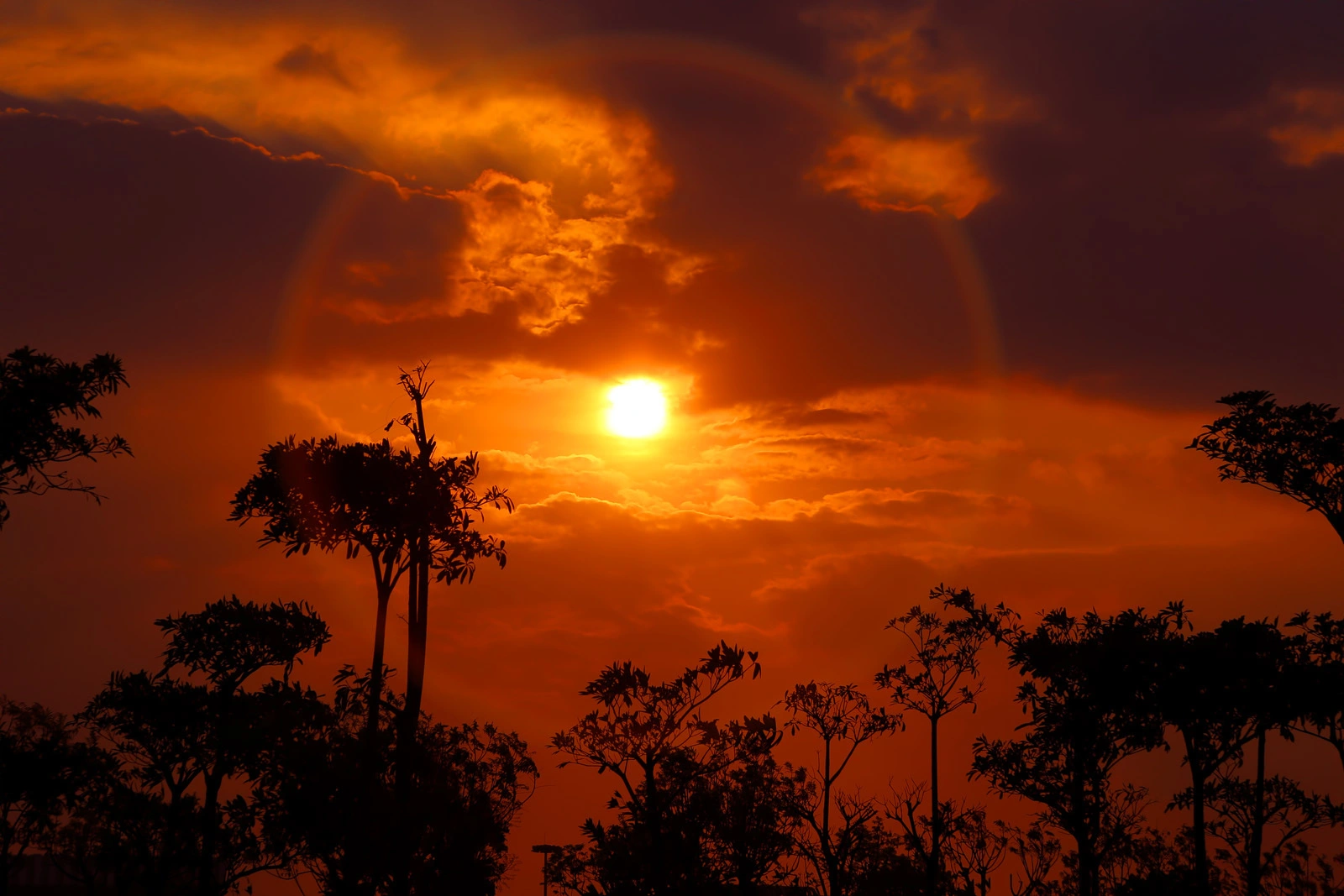 a7295e45gy1gfogs43vxoj218g0tntj8.webp