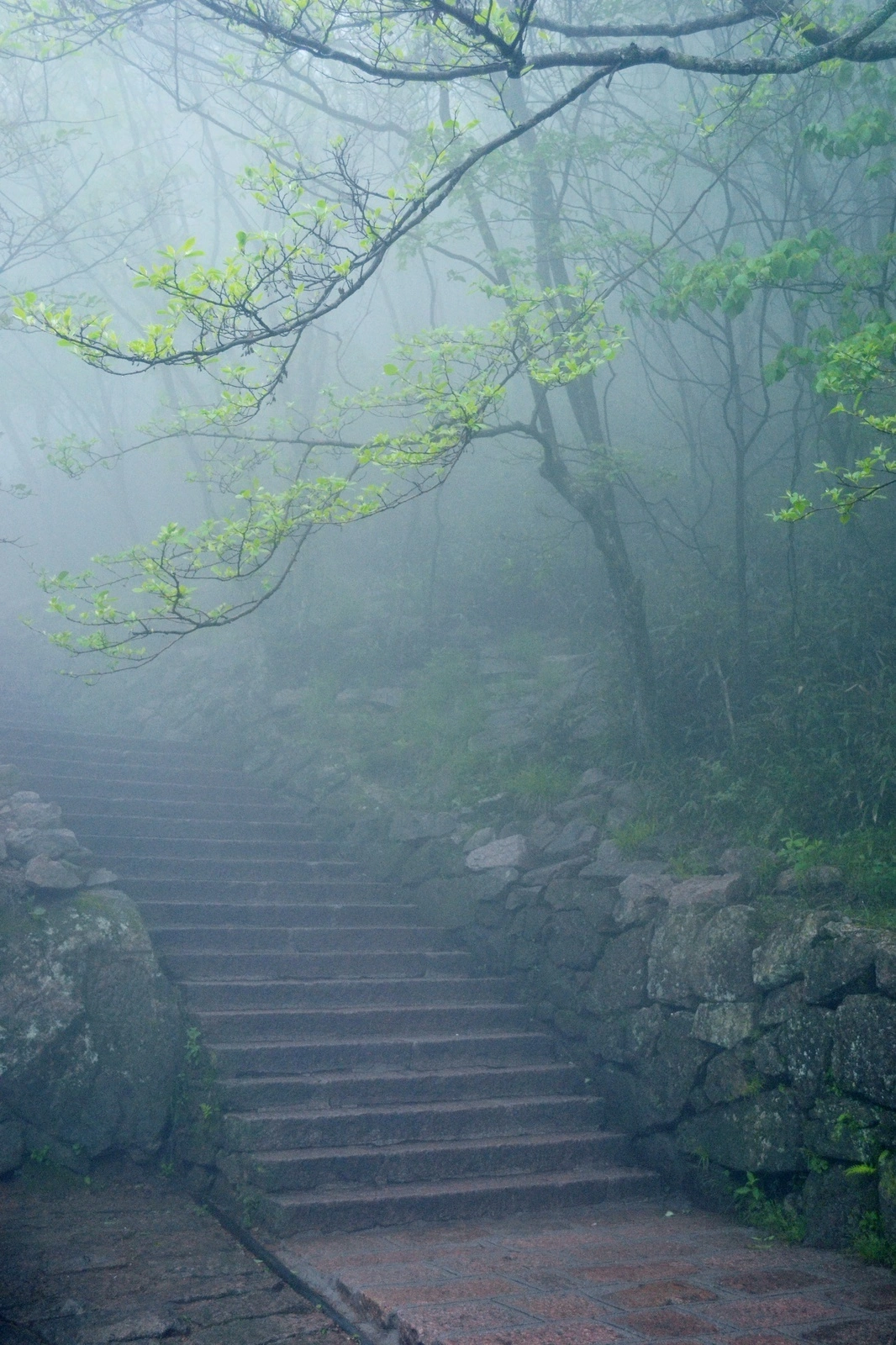 a7295e45gy1gfoc3izd7bj20tm18gk9h.webp