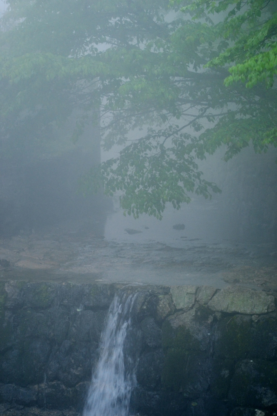 a7295e45gy1gfoc3i9z3fj20tm18gwry.webp