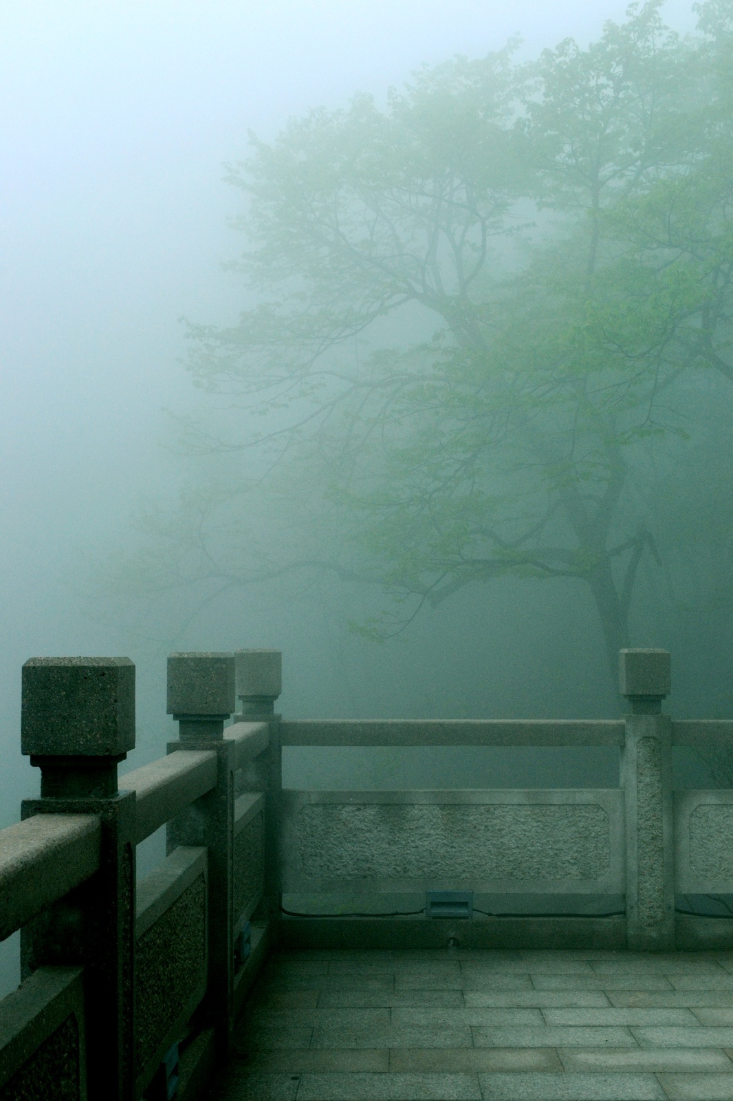 a7295e45gy1gfoc3hbun4j20tm18gna9.jpg