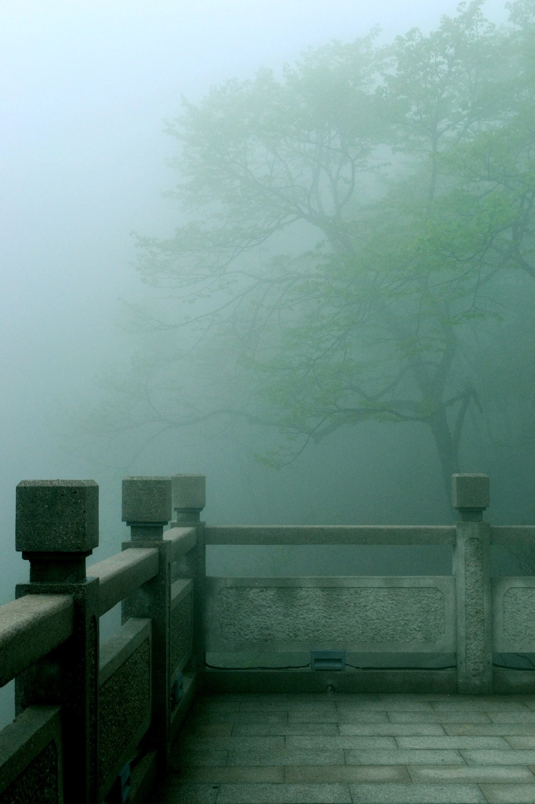 a7295e45gy1gfoc3hbun4j20tm18gna9.webp