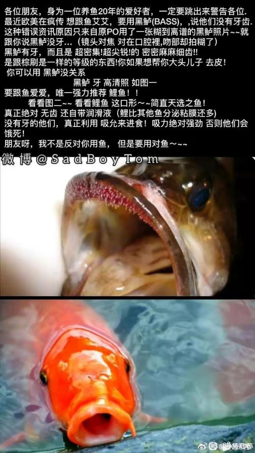 1660491076_116982.png