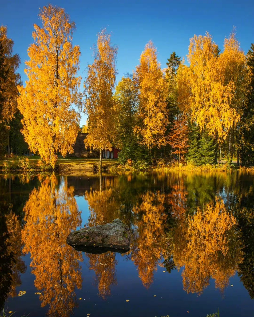 IMG_20220921_024441.webp