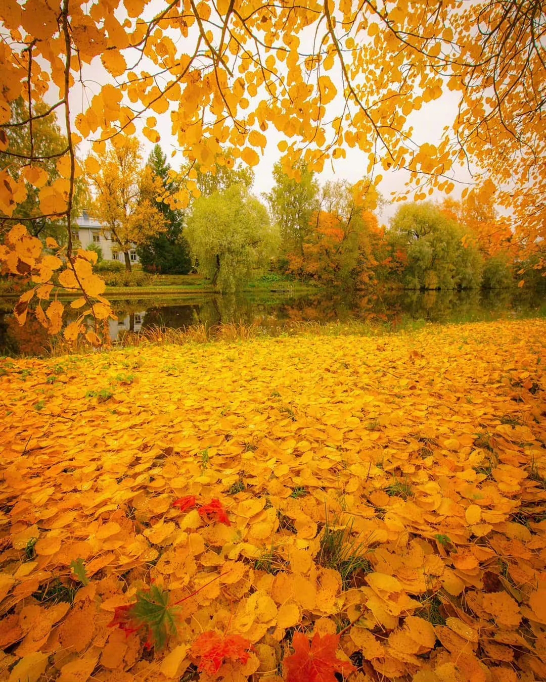 IMG_20220921_024458.webp