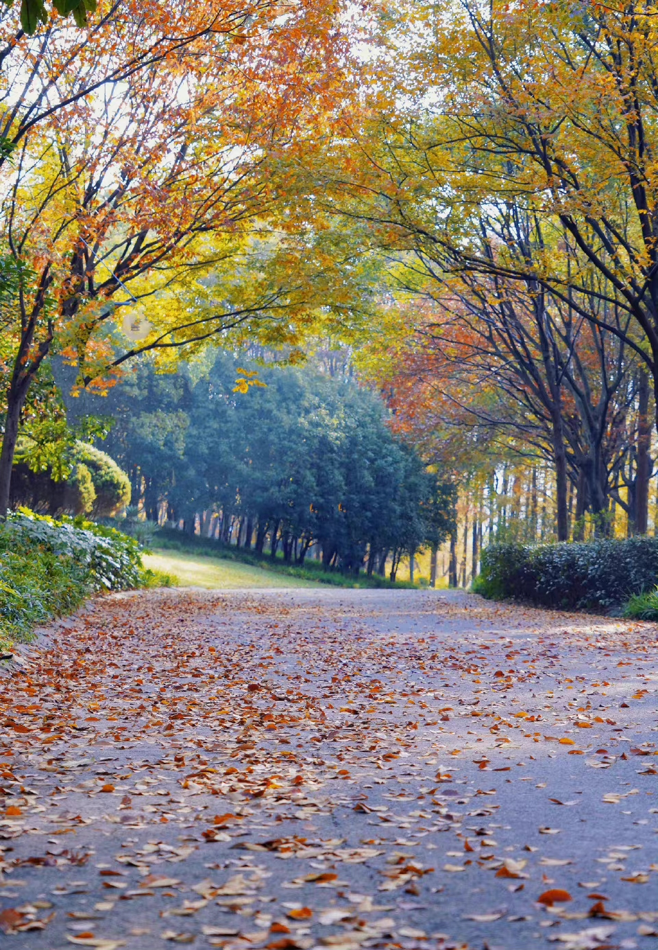 IMG_20220925_184100.webp