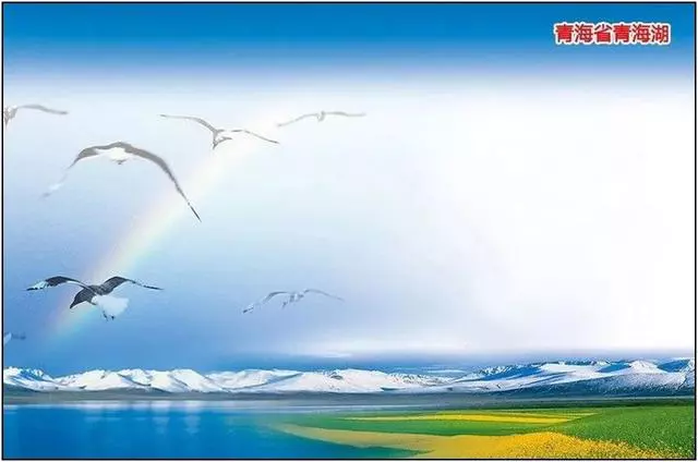 ?url=http%3A%2F%2Fdingyue.ws.126.net%2F2022%2F0918%2Fd97ca0e4j00ridxs0000tc000hs00bsg.jpg