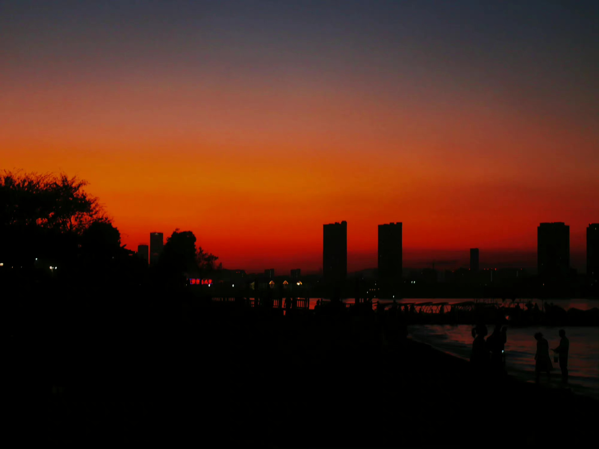 IMG_20221004_135738.webp
