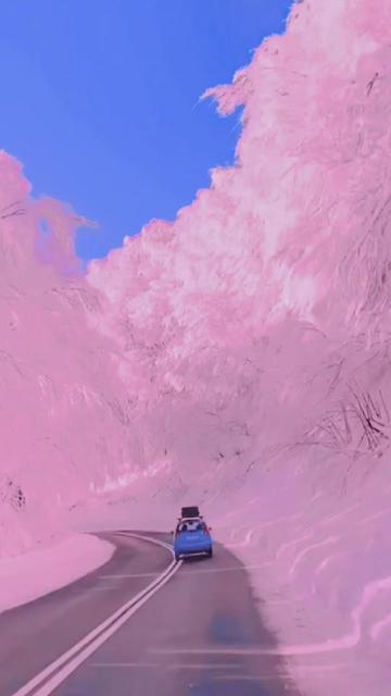 171140c7oy535tlt0gt0y0.jpg
