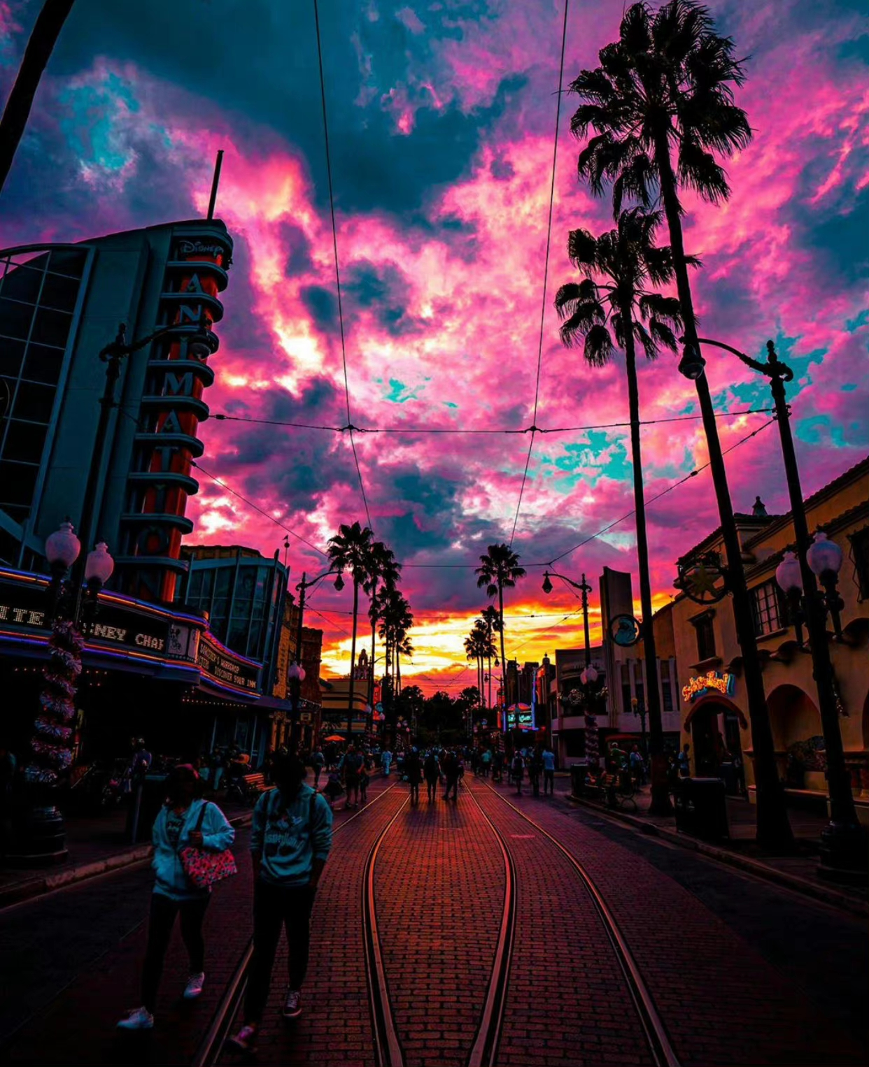 IMG_20221016_065256.webp
