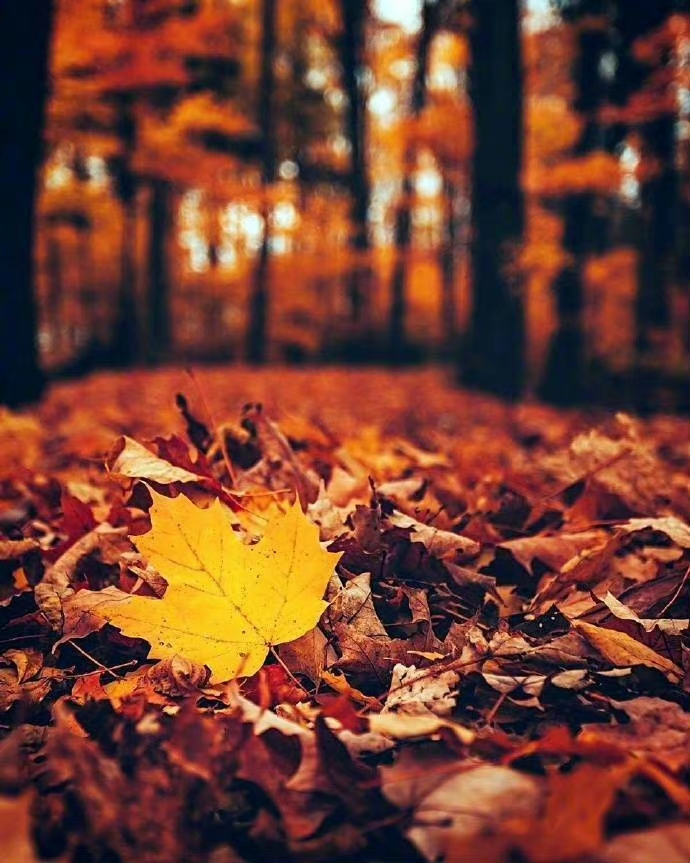 IMG_20221017_011851.webp