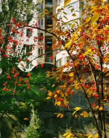 1666316508629_crop_985_981f5117j00rjxpmh001gc000a000dcg.webp