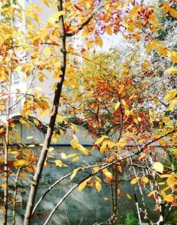 1666316502864_crop_248_f2ea429aj00rjxpmg001gc000a000dcg.webp