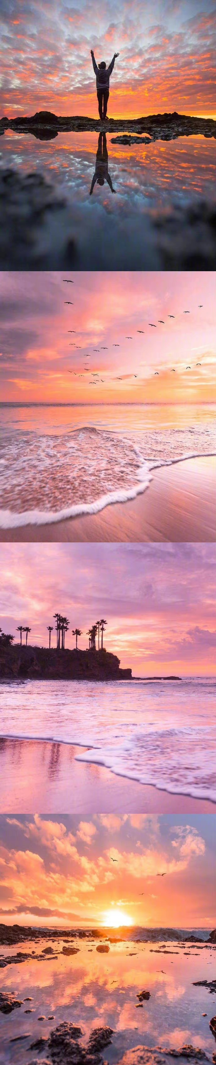 IMG_20221024_113822.webp