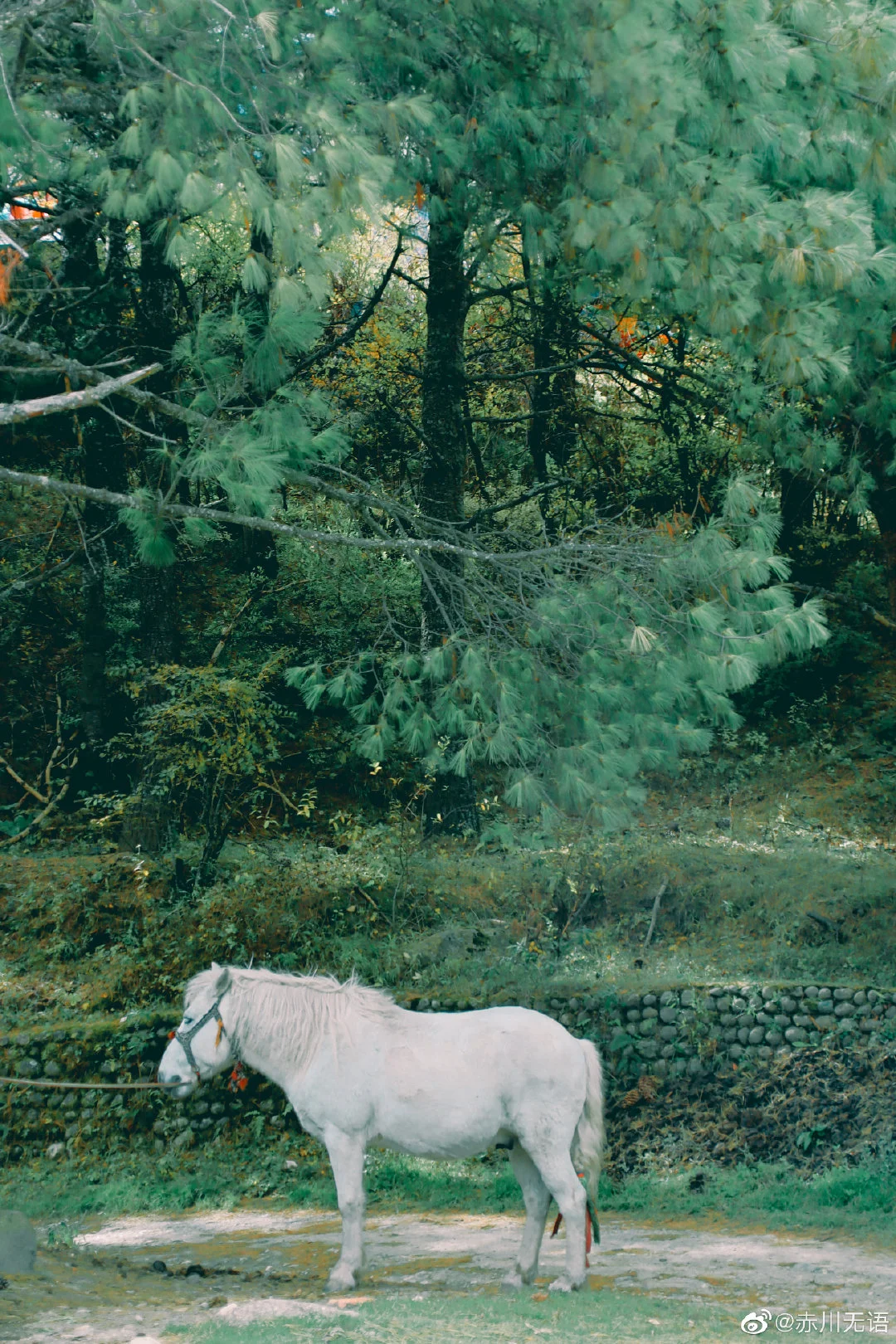 img-1667222577337d58246ad6d63899e01c3eb6f59fb6bcd3fdbcafd4e0cb121034984fb8c5404df.webp