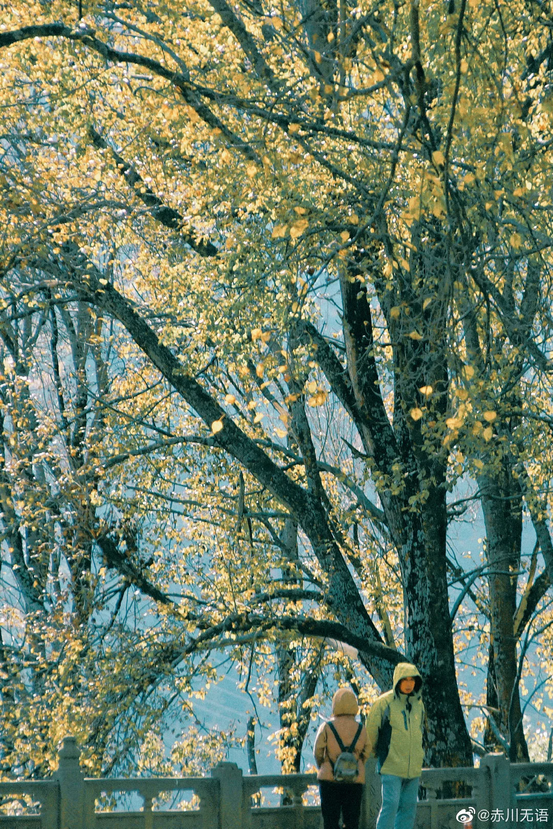 img-16672225971225d04748942bbadb130b7594e3fc815e8319037e7f9e48bc73e6c8d1a3baec8d5.webp