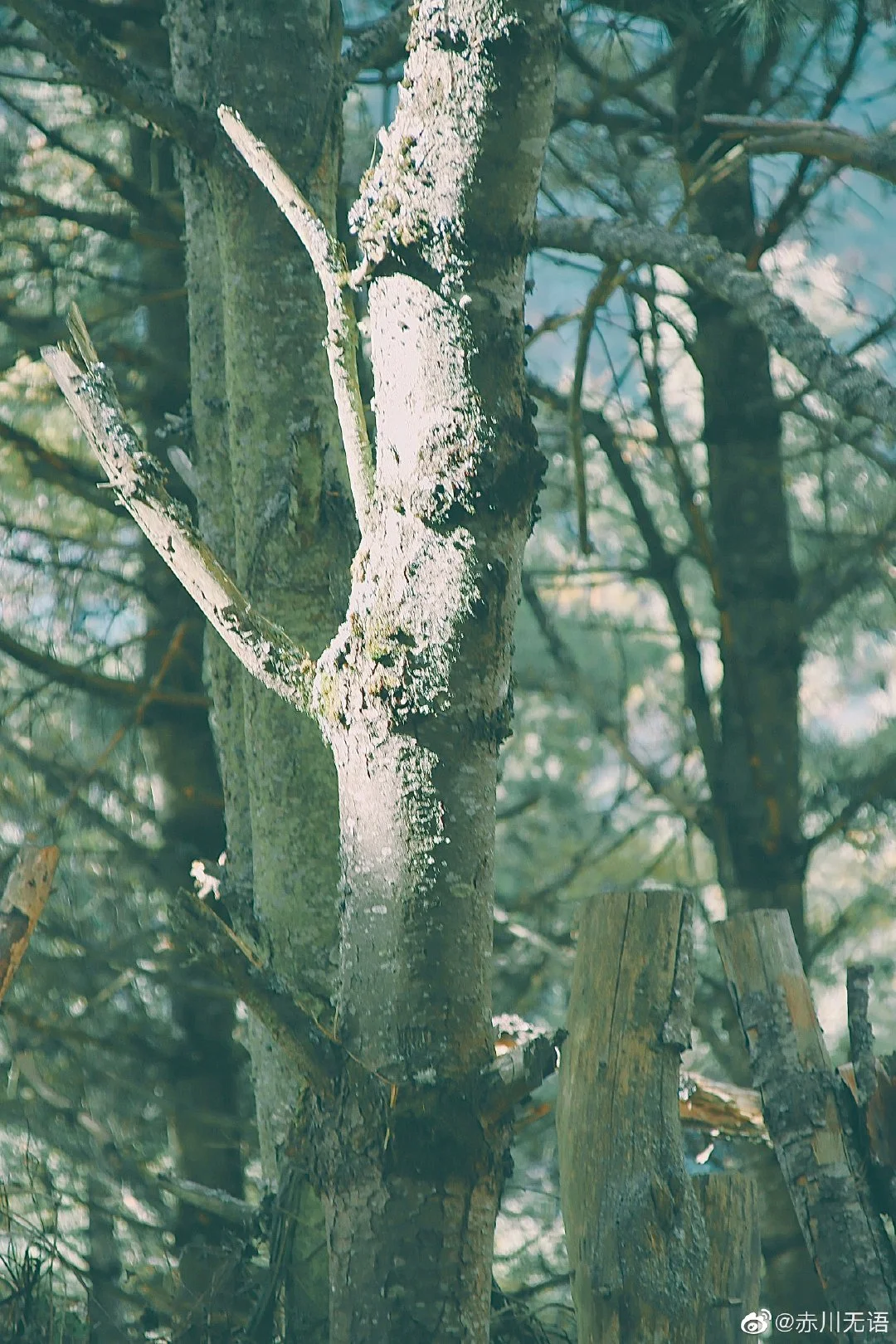 img-166722259999425b759ebd635a591d796a51e82e5fd0475d424b0551e47d32304767157aa15c3.webp