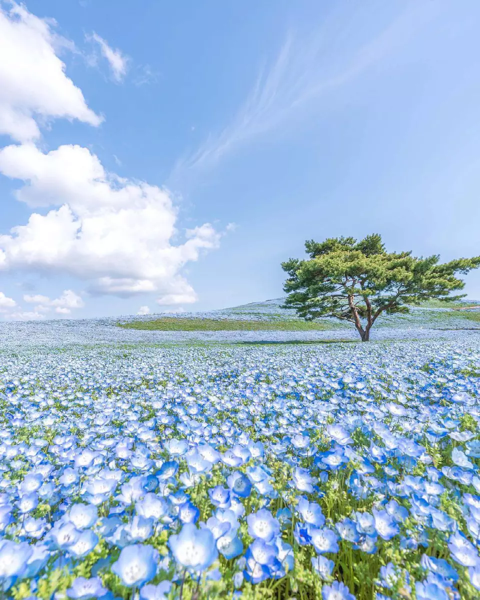 ?url=http%3A%2F%2Fdingyue.ws.126.net%2F2023%2F0407%2F5075ac74j00rspue30078c000u0011im.jpg