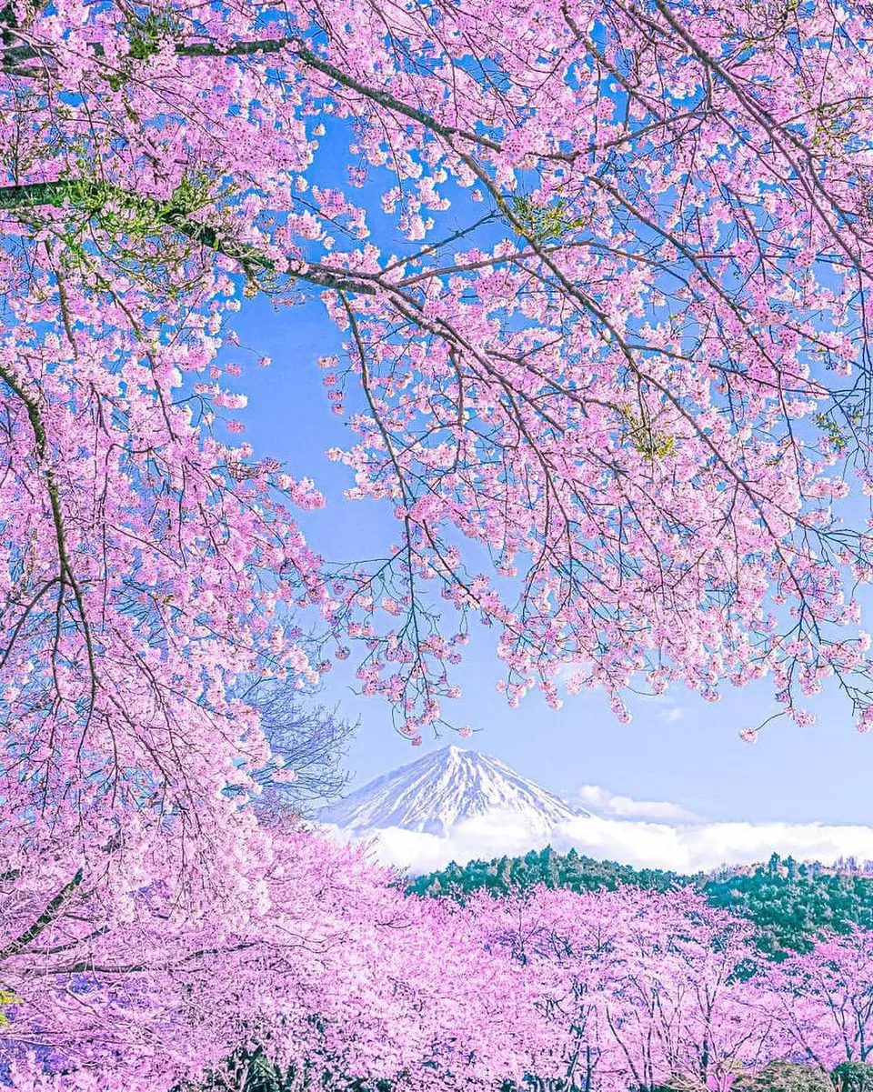 ?url=http%3A%2F%2Fdingyue.ws.126.net%2F2023%2F0407%2Fb272b693j00rspue300eqc000u0011jm.jpg
