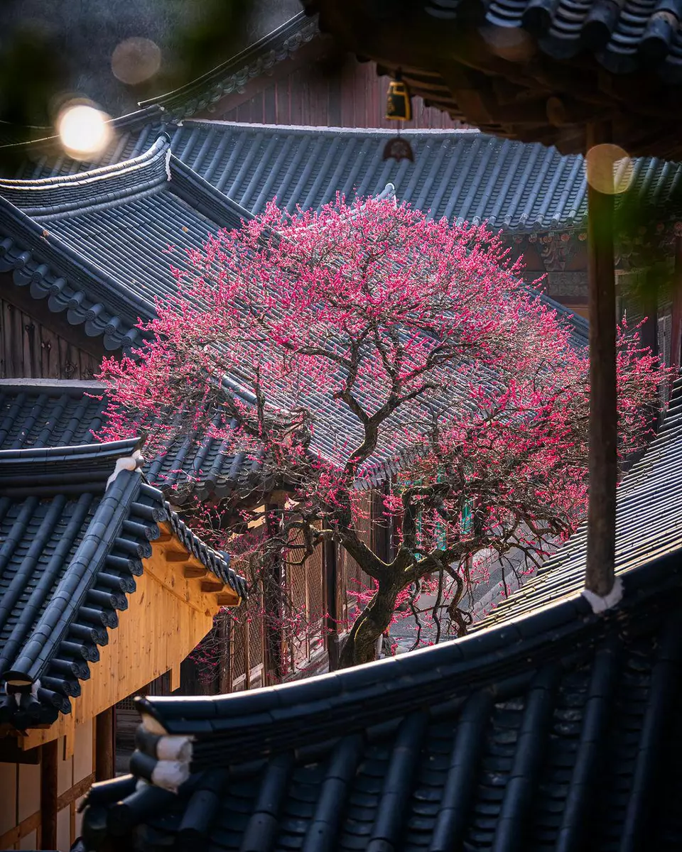 ?url=http%3A%2F%2Fdingyue.ws.126.net%2F2023%2F0407%2F27dbeac0j00rspue3009rc000u0011im.jpg