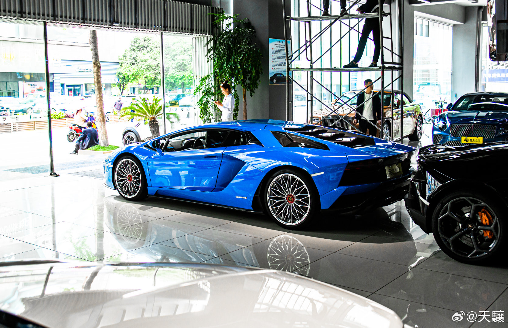 img-169522843823279d86ea77b1008676b5d5c4883ce38a83a3096b717b034d85a82d637beafbc12.jpg